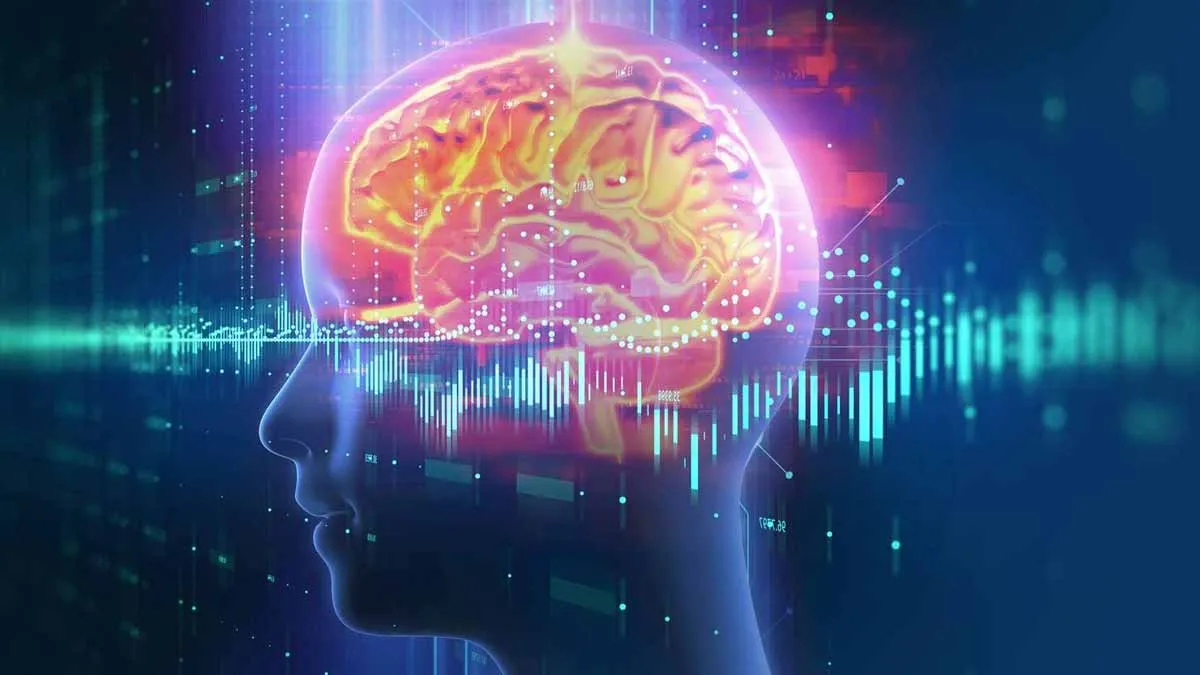 Un nuevo horizonte en la comprensión de la energía cerebral y la pérdida de memoria